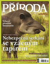 Příroda