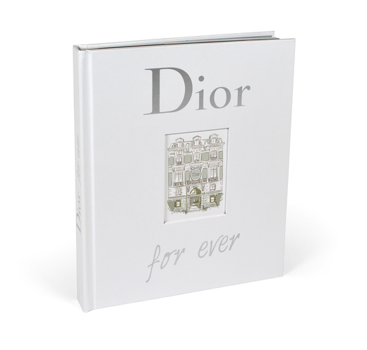 DIOR-book_2025-01-foto-stribrny-titulek_mensi.jpg