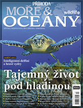 Příroda Speciál - Moře a oceány