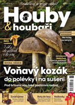 Houby a houbaři 10/2017