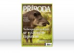 Příroda WILDLIFE 1-2/2013 – Nebezpečná setkání se vzácným tapírem